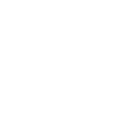 企業情報のアイコン